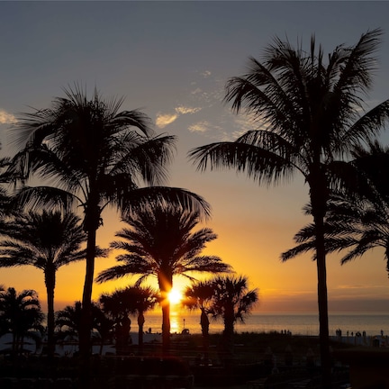 A beach scene with palm trees and a sunset.