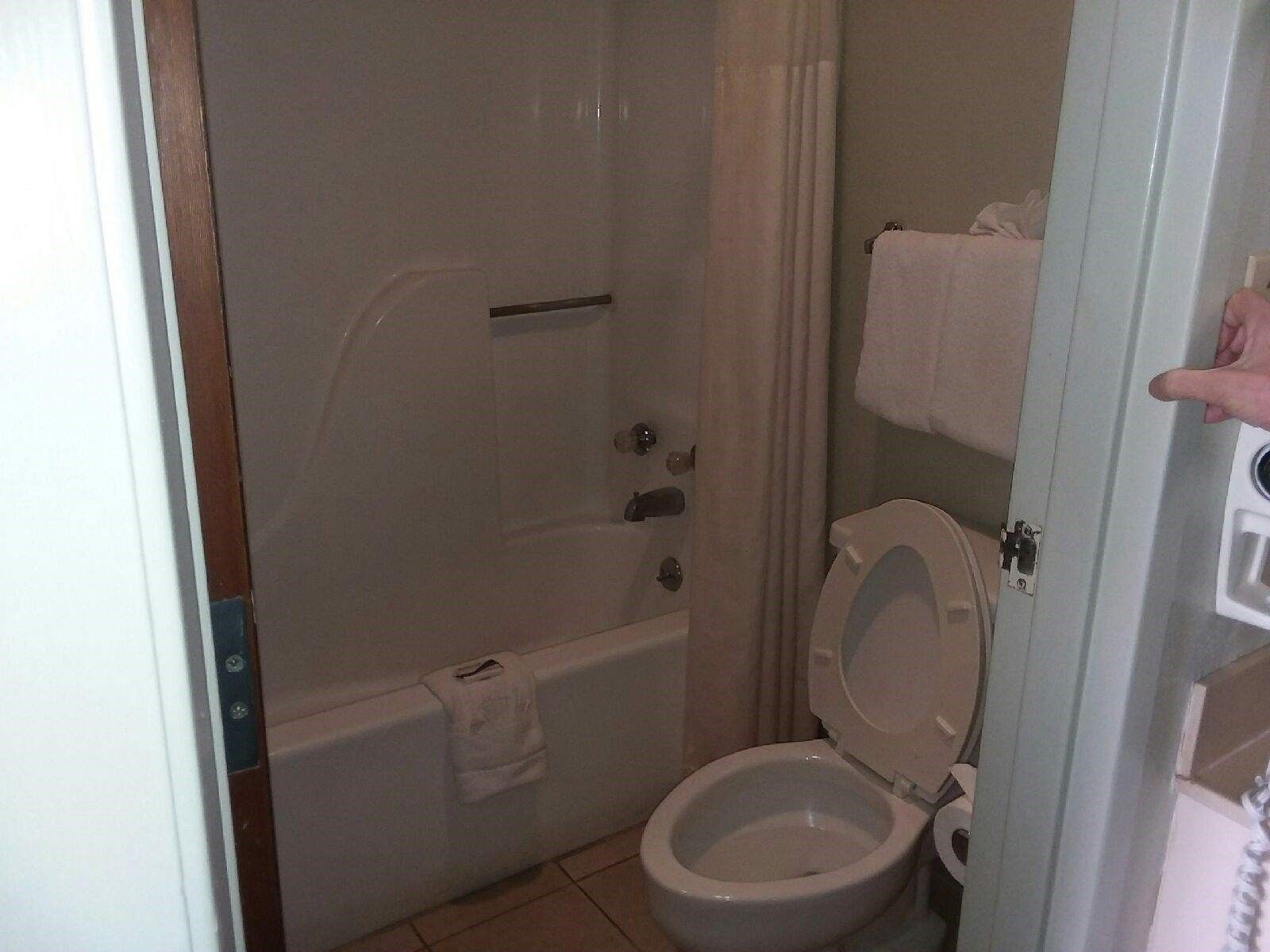 A bathroom with a bathtub, toilet, and a shower curtain.