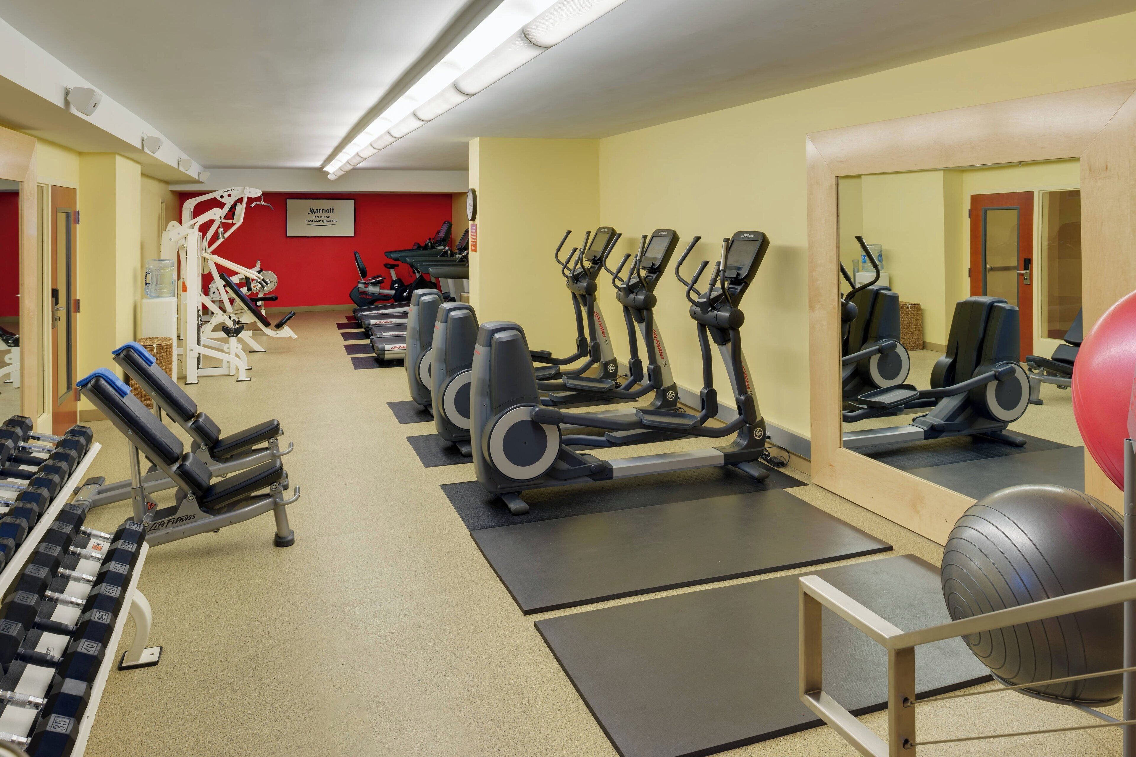 A gym with treadmills, elliptical machines, and free weights.