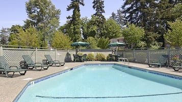 Seasonal outdoor pool, sun loungers