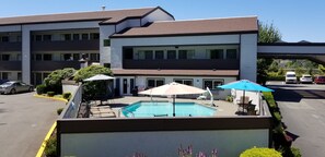 Seasonal outdoor pool, sun loungers