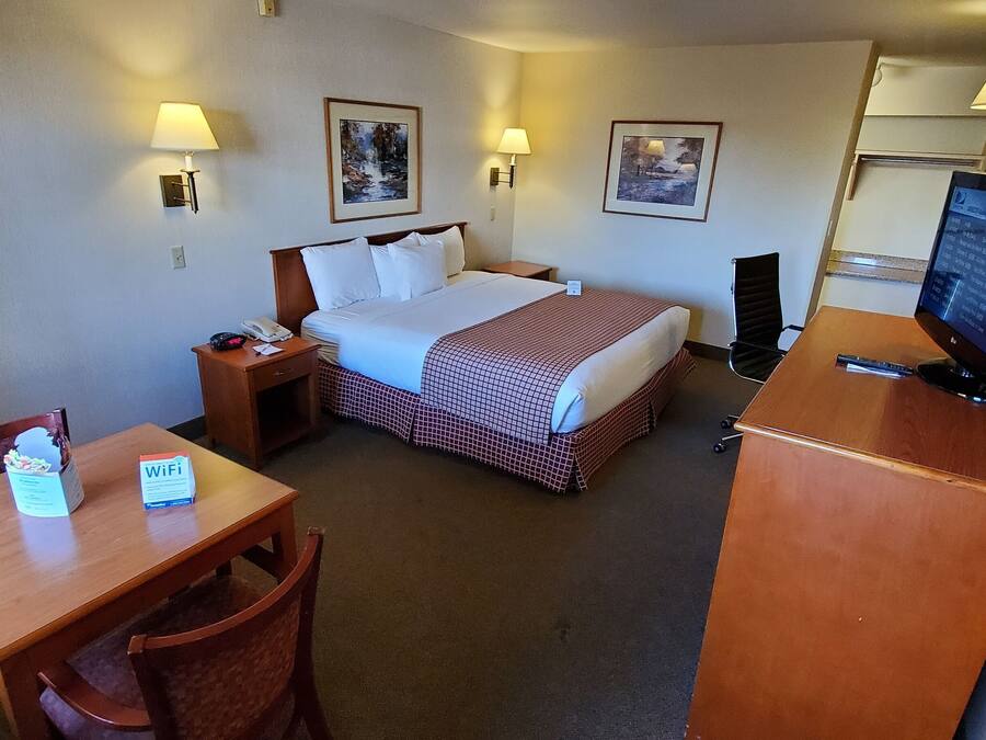 A hotel room with a bed, a desk, a chair, a TV, and a lamp.