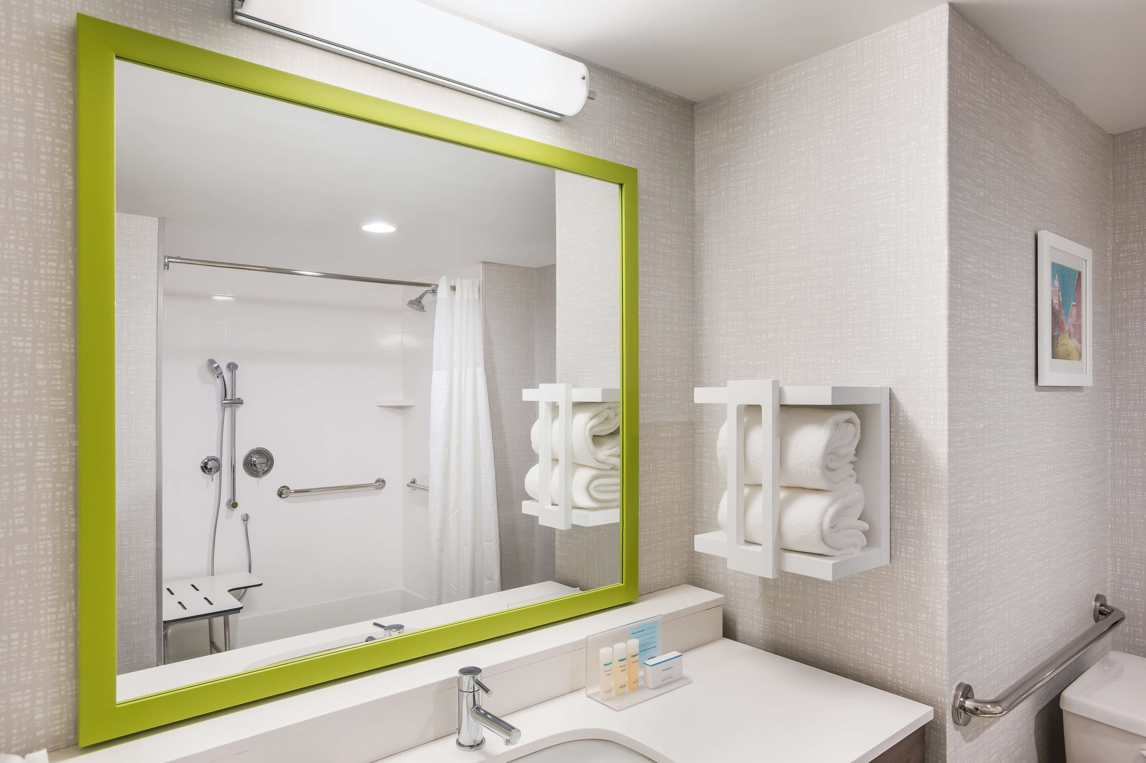 room, 1 king bed, accessible (mobility & hearing, roll-in shower) | bathroom shower