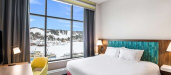 Hampton Inn & Suites Houghton