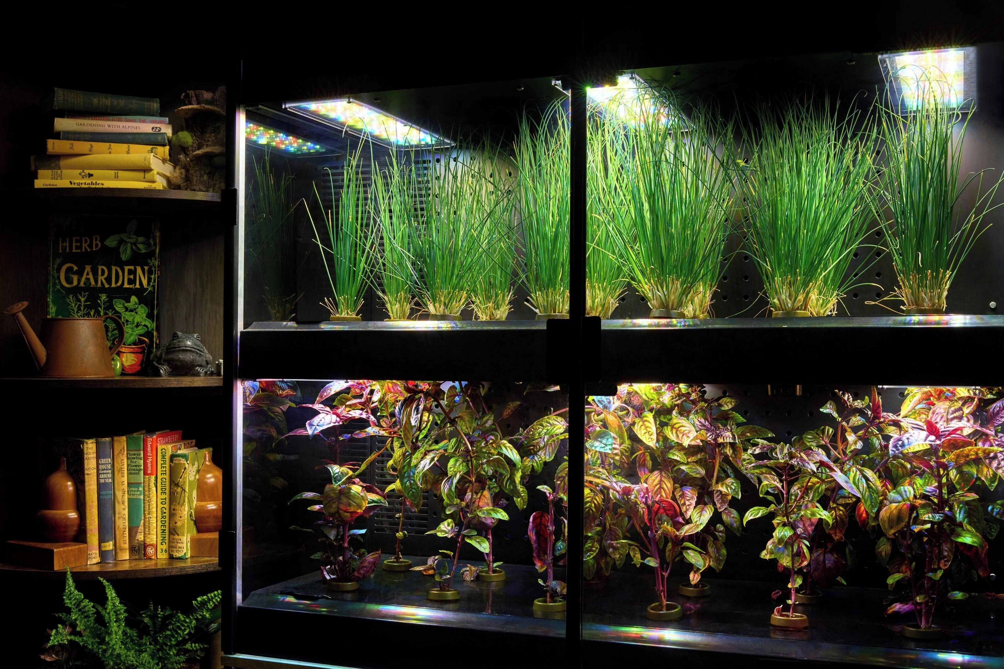 Foto - JW Marriott Washington, DC