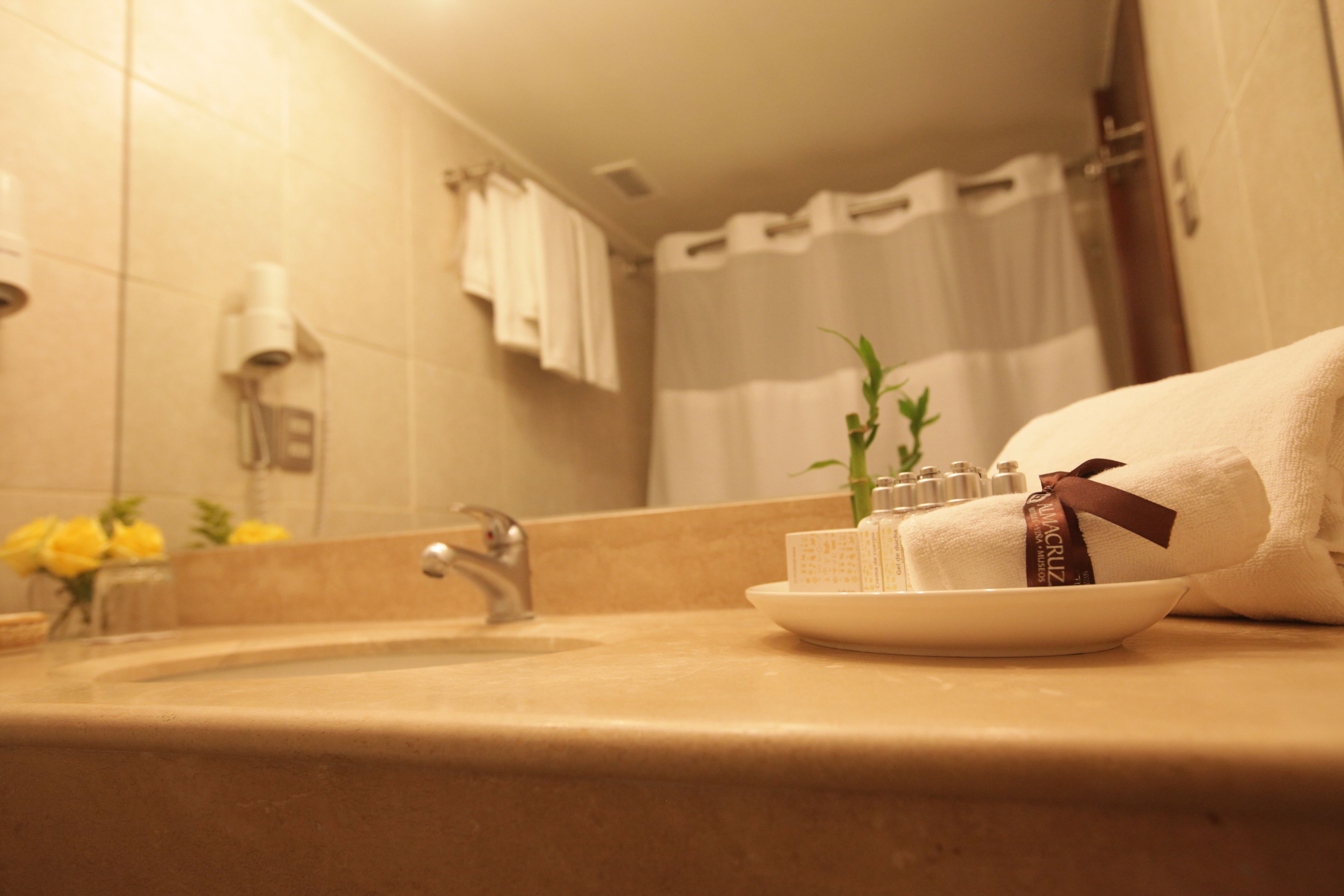 A bathroom with a sink, a mirror, a towel, and a small plant on the counter.