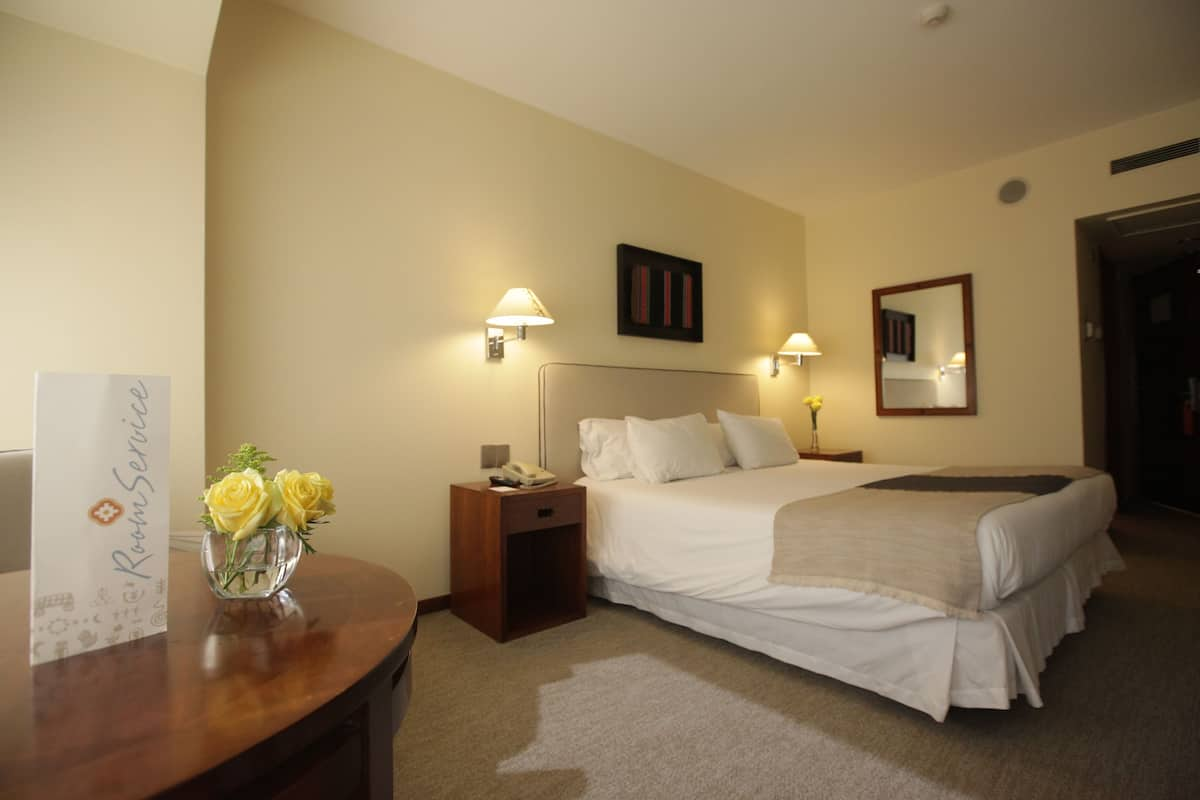 Standard Double Room, 1 King Bed | Premium bedding, down comforters, pillowtop beds, minibar