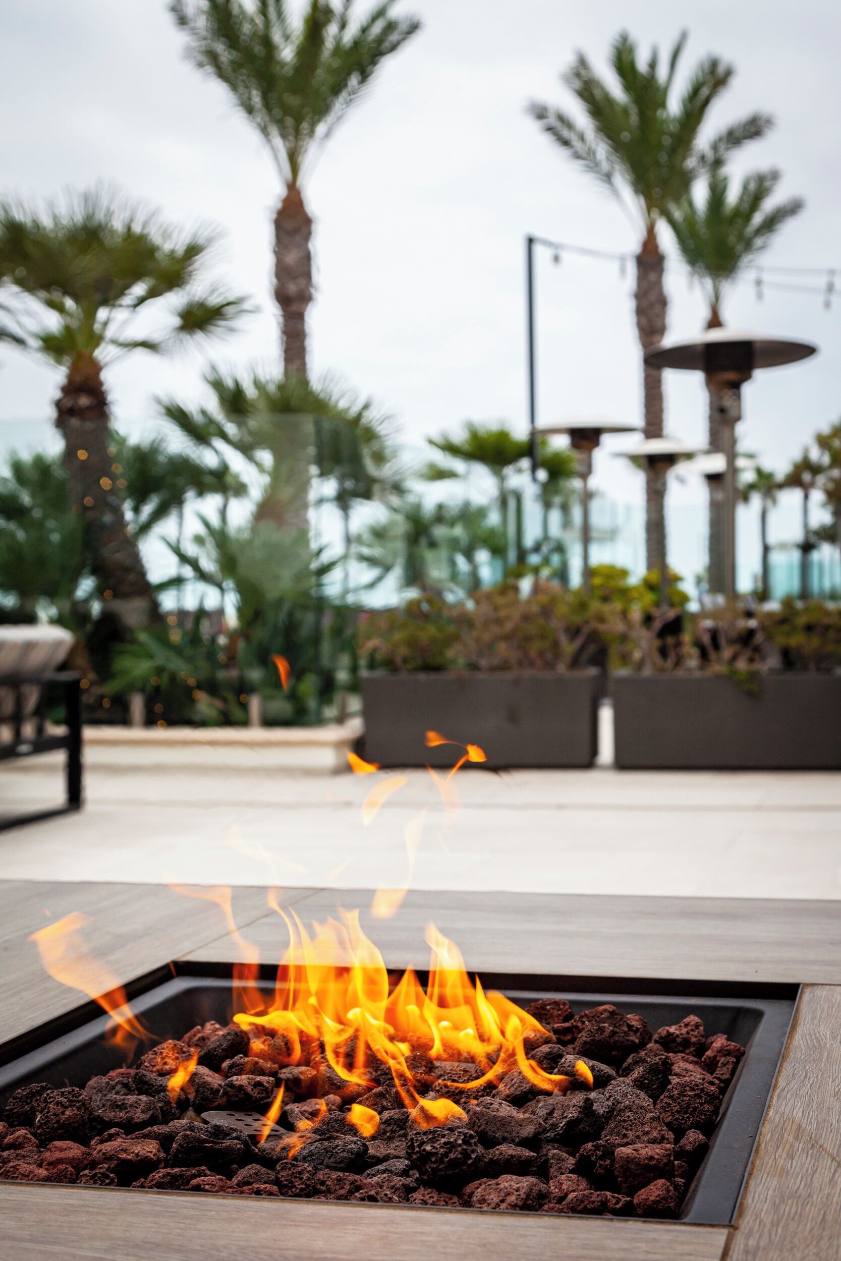 A fire feature with a square metal frame, surrounded by outdoor seating and palm trees.