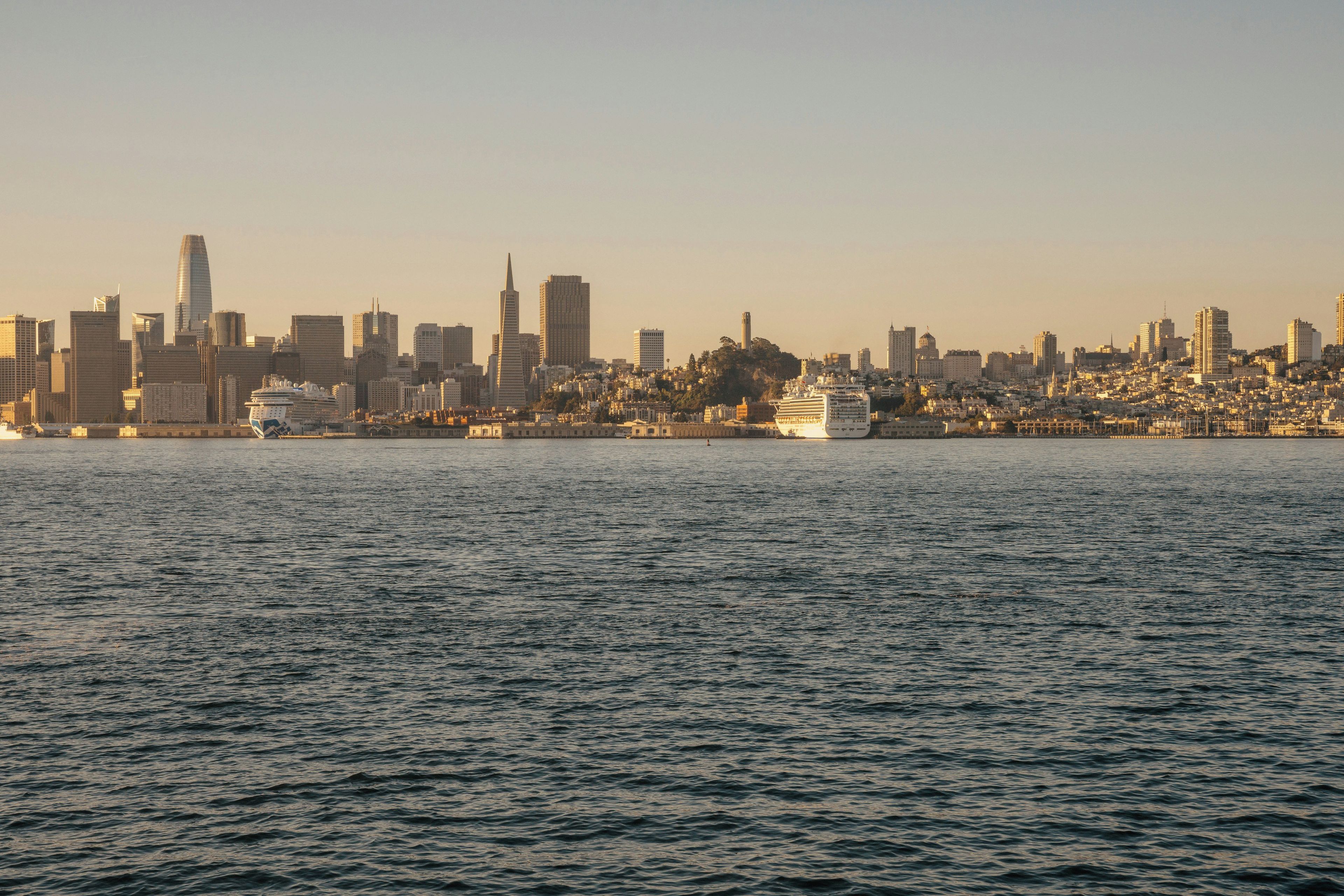 Un horizonte urbano con numerosos rascacielos y un crucero en primer plano.
