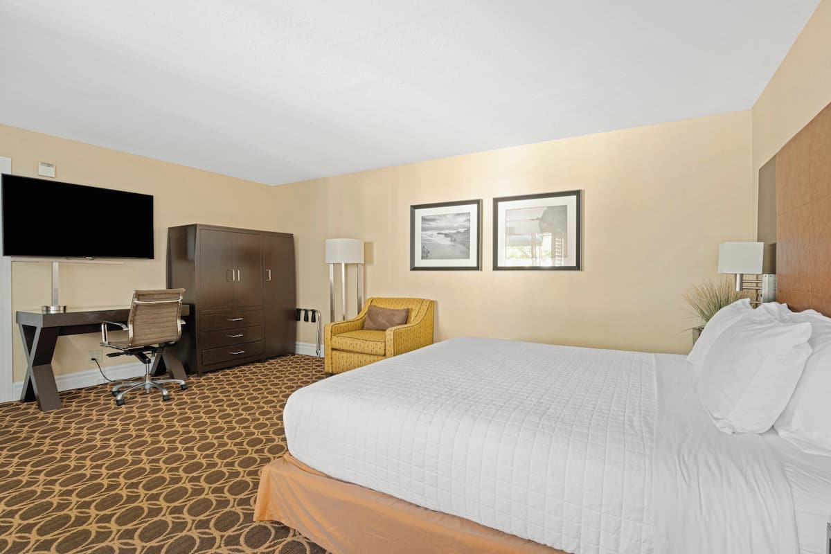Studio Suite, 1 Queen Bed, Poolside (ADA) | Premium bedding, pillowtop beds, in-room safe, desk
