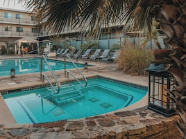 Una piscina con borde de piedra, sillas de descanso y una palmera.