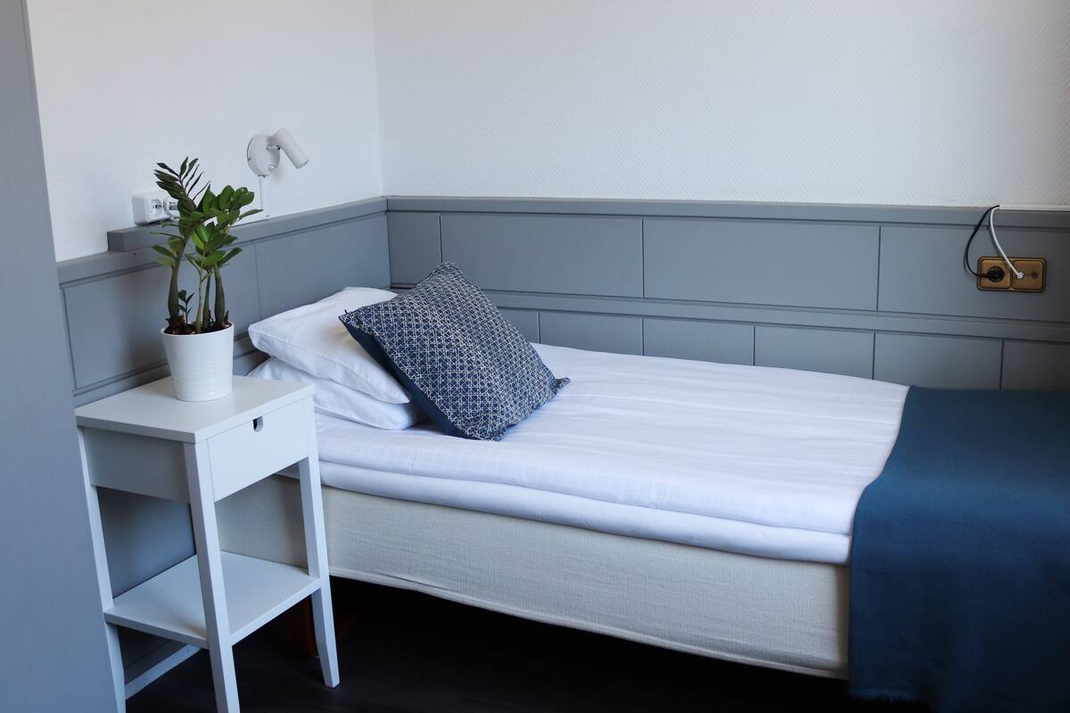 A single bed with a grey headboard, a white bedside table with a potted plant, a patterned pillow, and a blue blanket.