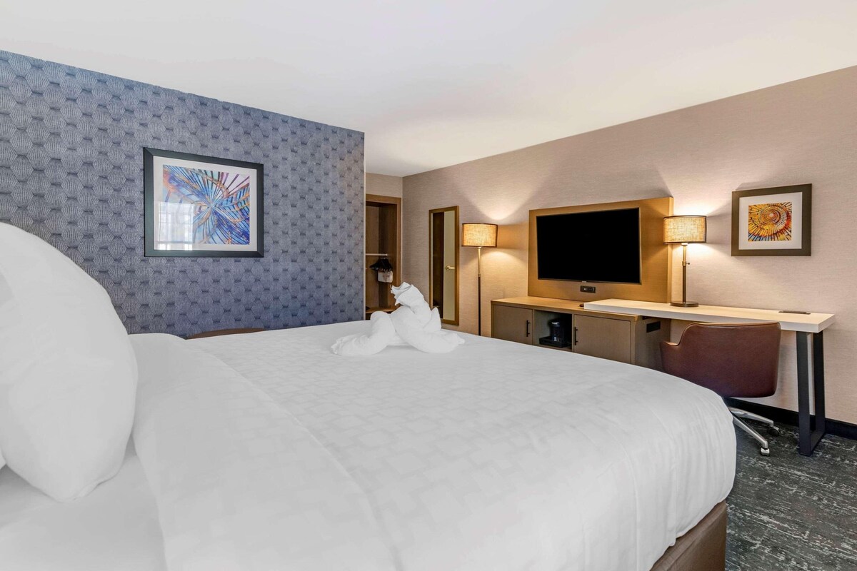 Habitación de hotel con cama, escritorio, silla, televisor y obras de arte en las paredes.