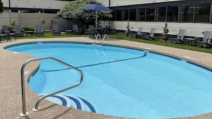 Seasonal outdoor pool, sun loungers