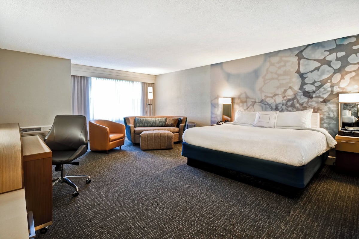 Room, 1 King Bed with Sofa bed
