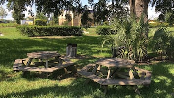 BBQ/picnic Area