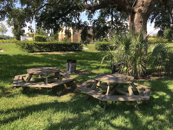 BBQ/picnic Area