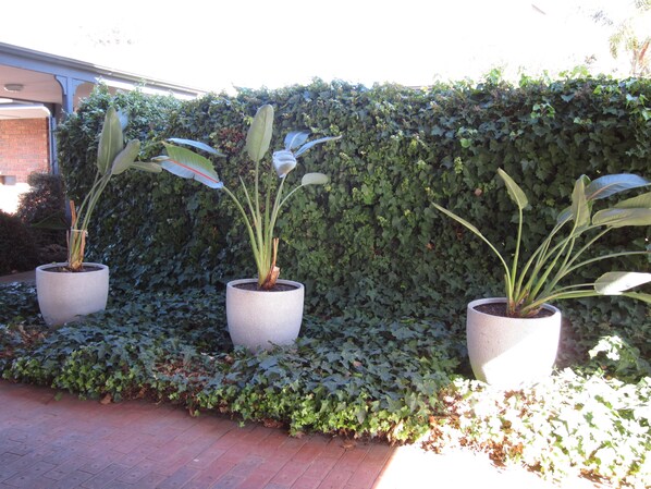 Garden - The Heritage Bendigo (Golden Square)