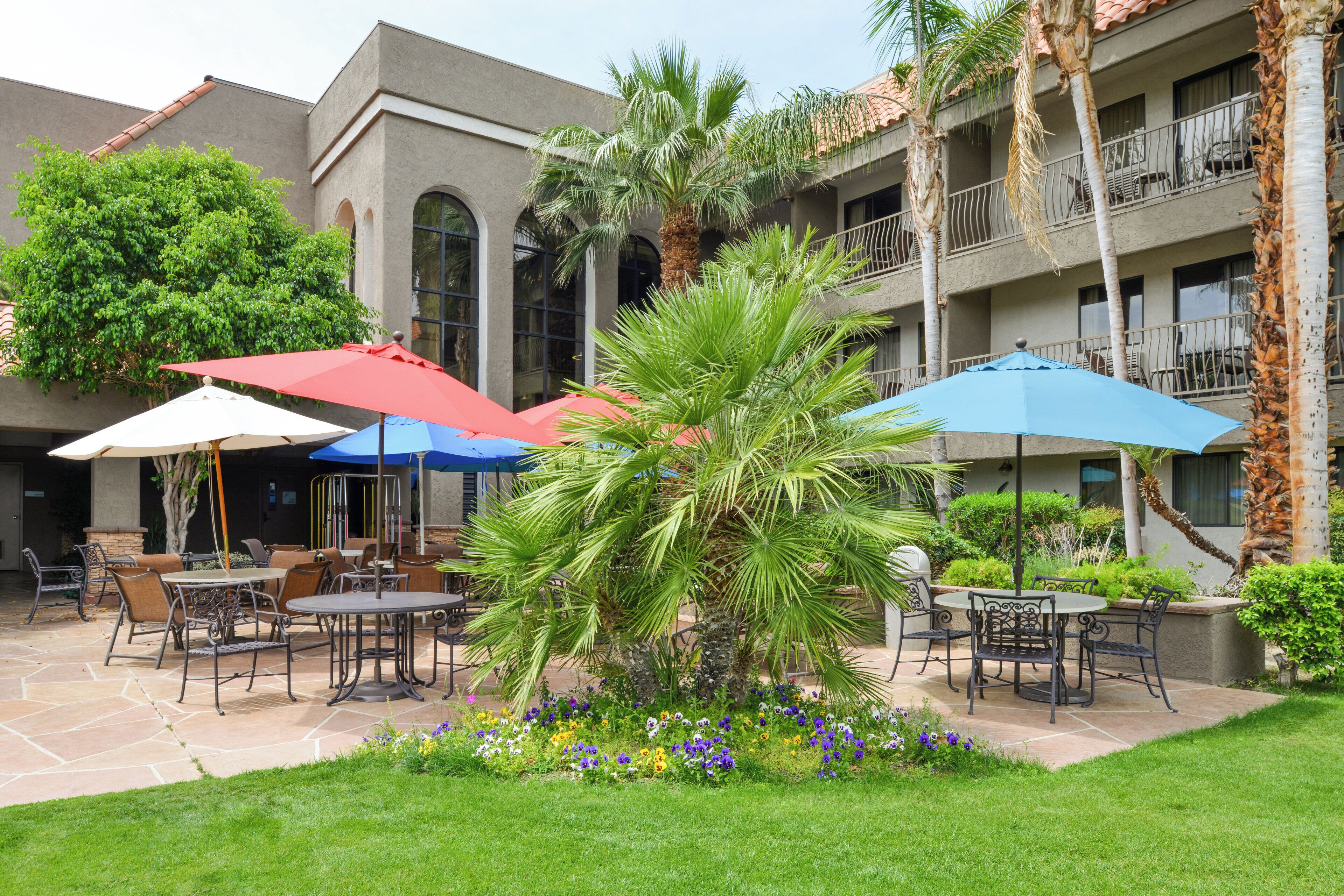 Un espace extérieur aménagé en terrasse, avec des tables, des chaises, des parasols et une variété de plantes.