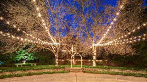 A nighttime garden with trees wrapped in string lights, a central archway, and a stone bench.