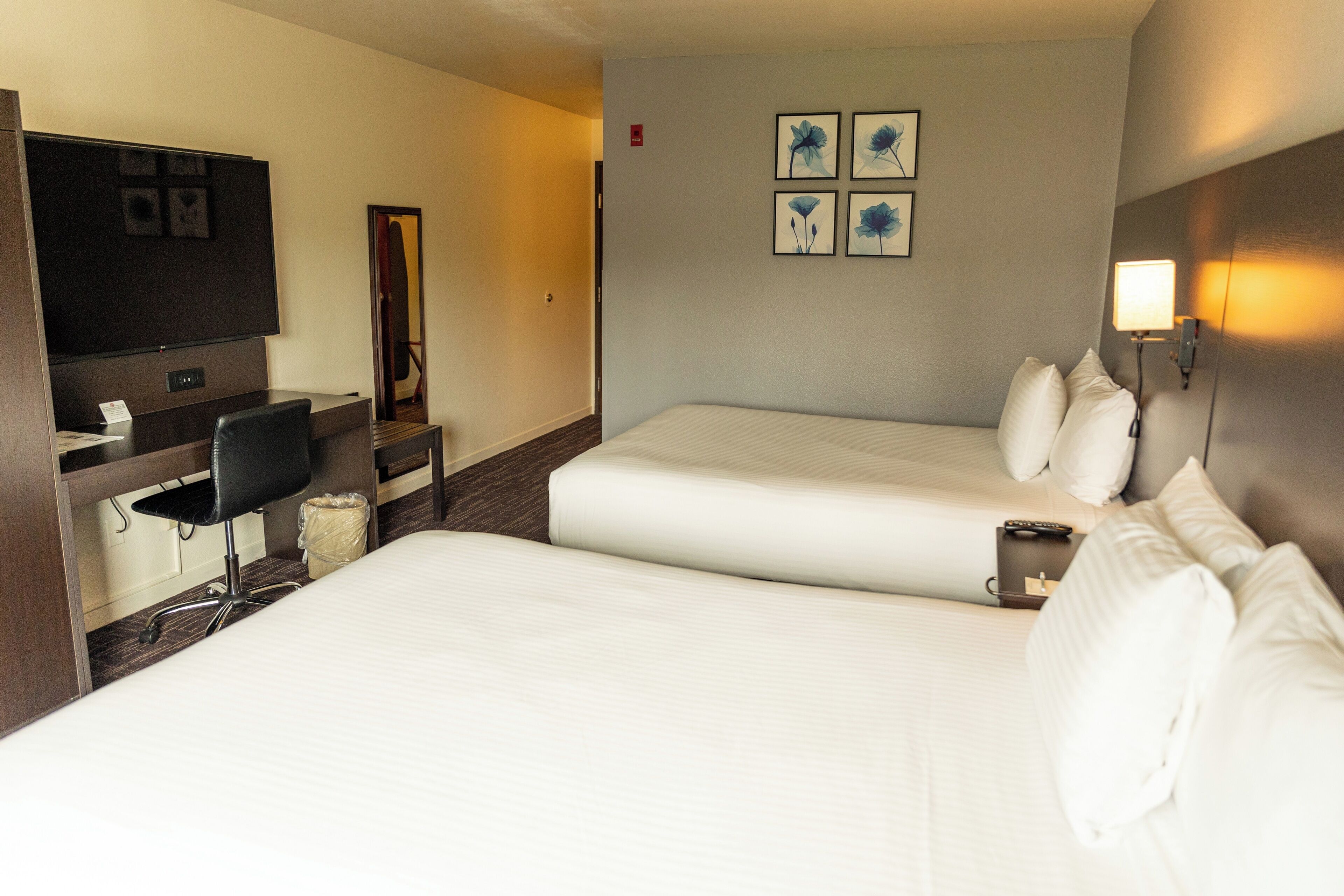 traditional room, 2 queen beds | in-room safe, desk, iron/ironing board, free wifi
