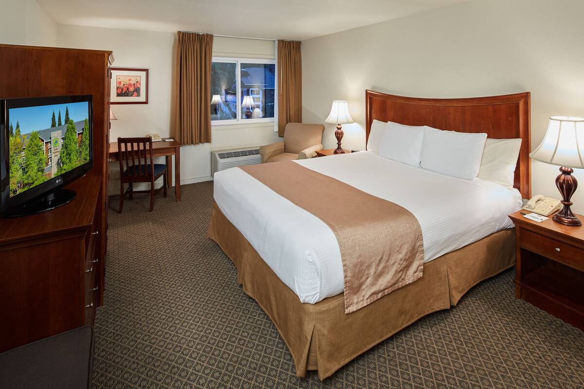 A hotel room with a bed, two bedside lamps, a desk with a TV, a chair, and a window with curtains.