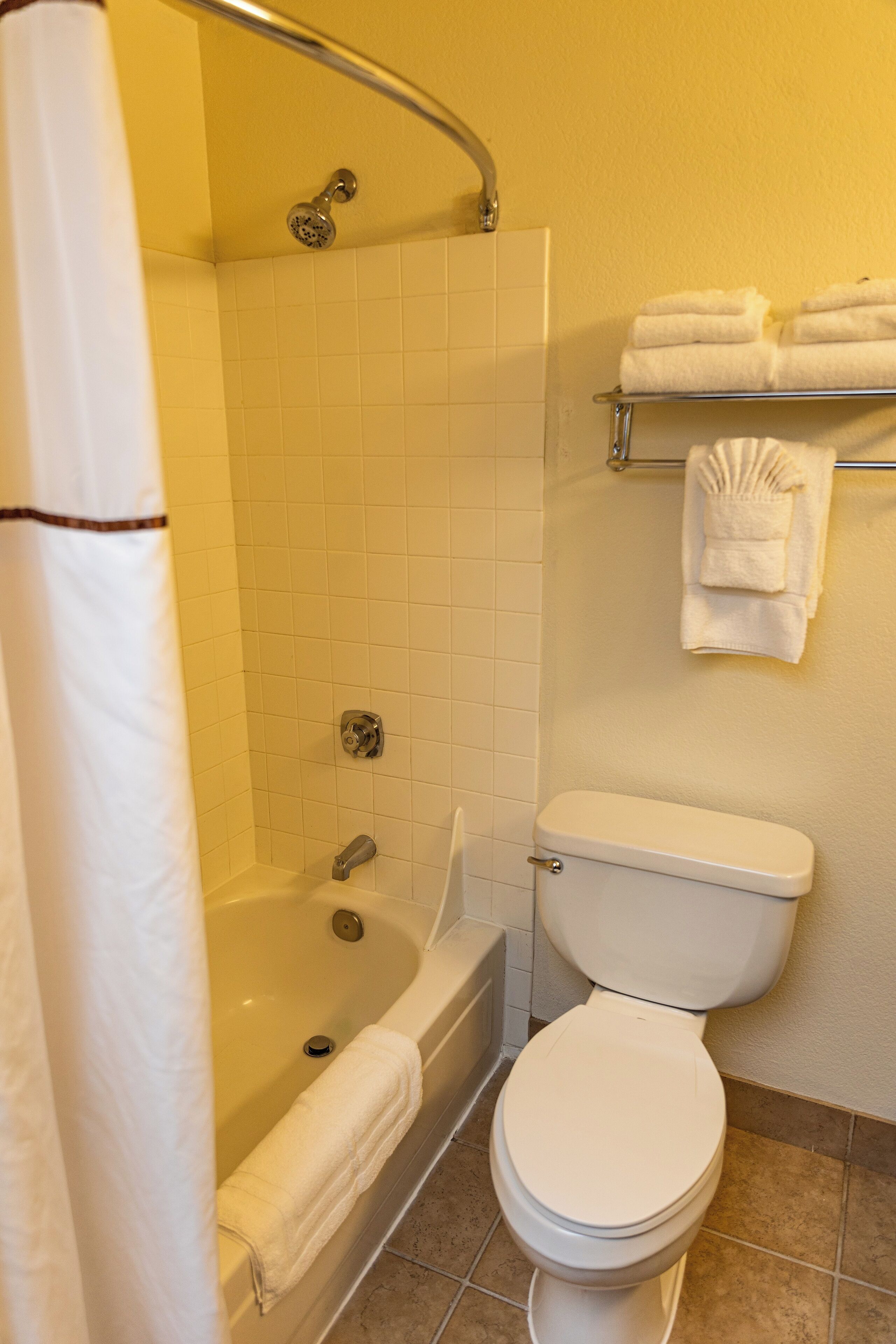 combined shower/bathtub, free toiletries, hair dryer, towels