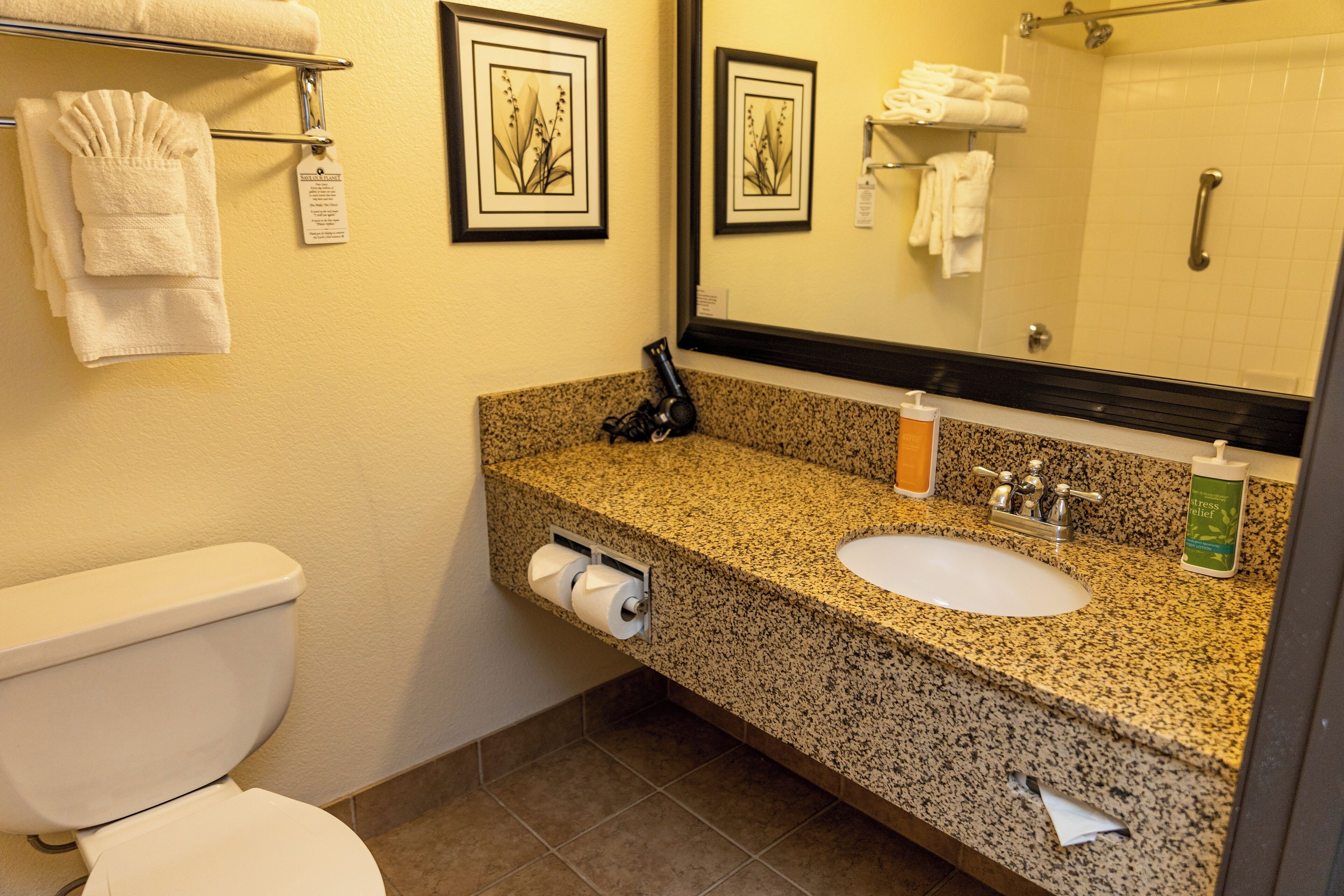 traditional room, 1 king bed | bathroom | combined shower/bathtub, free toiletries, hair dryer, towels
