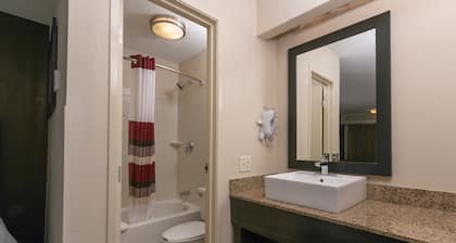 Red Roof Inn PLUS+ Atlanta - Buckhead