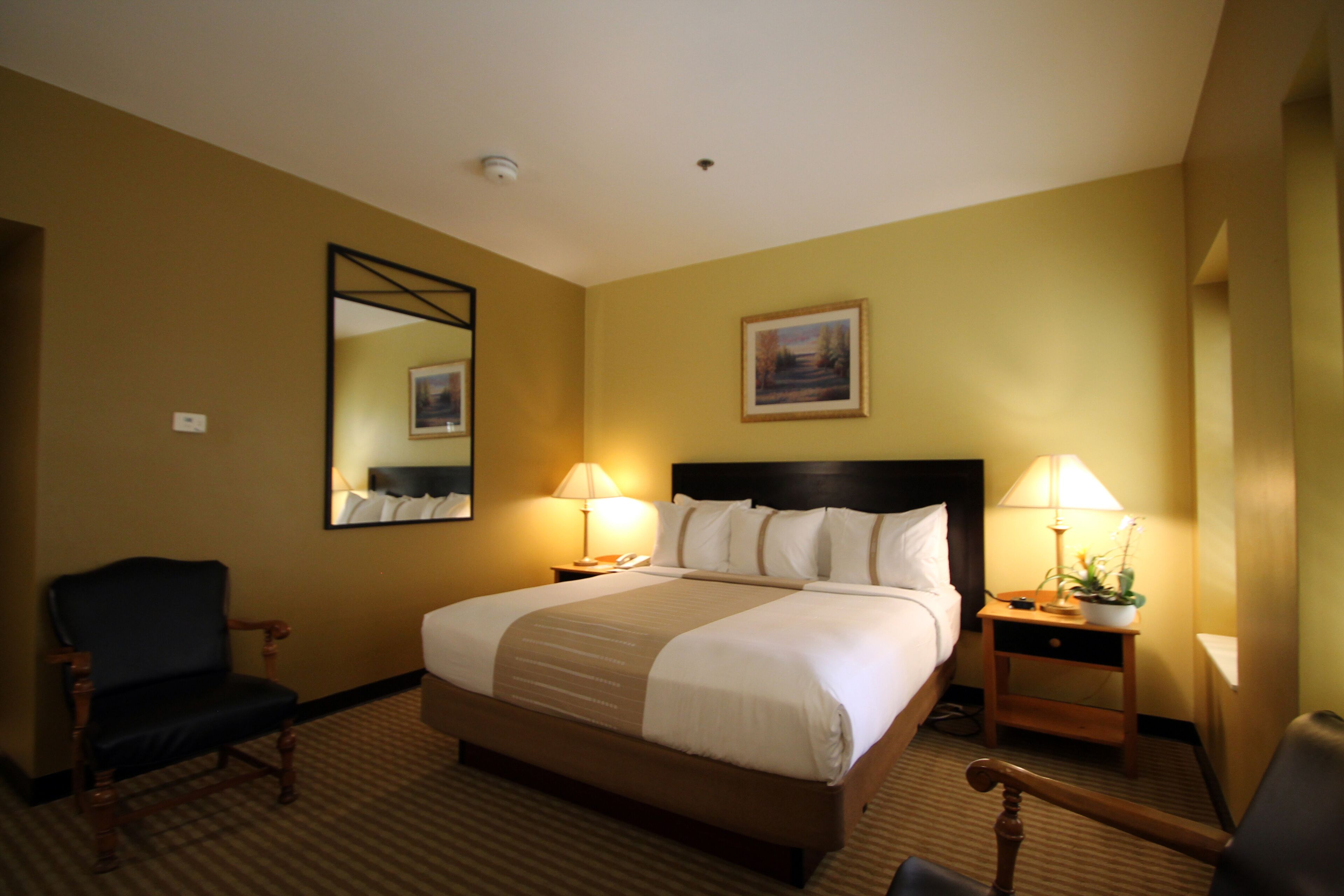A hotel room with a large bed, two bedside tables with lamps, a chair, a mirror, and a painting on the wall.