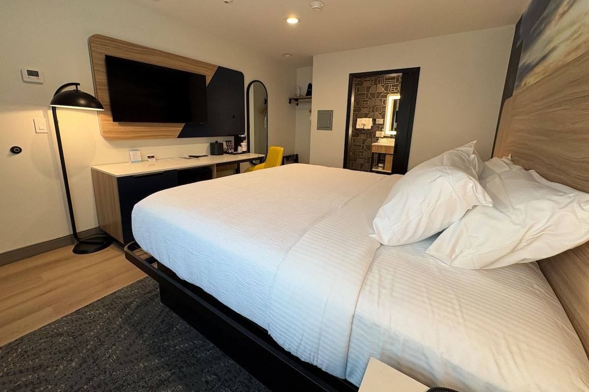 Standard Room, 1 Queen Bed, Non Smoking (Walk-in Shower;Pet Friendly) | Premium bedding, desk, iron/ironing board, free wired internet