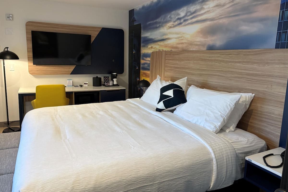 Standard Room, 1 King Bed, Non Smoking (Walk-in Shower;Pet Friendly) | Premium bedding, desk, iron/ironing board, free wired internet