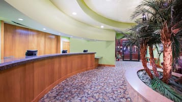 A reception area with a curved wooden counter, a patterned carpet, and a palm tree in a planter.