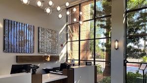 A modern reception desk with a wooden counter, a computer, and a phone. There are large windows with a view of palm trees and a parking lot.