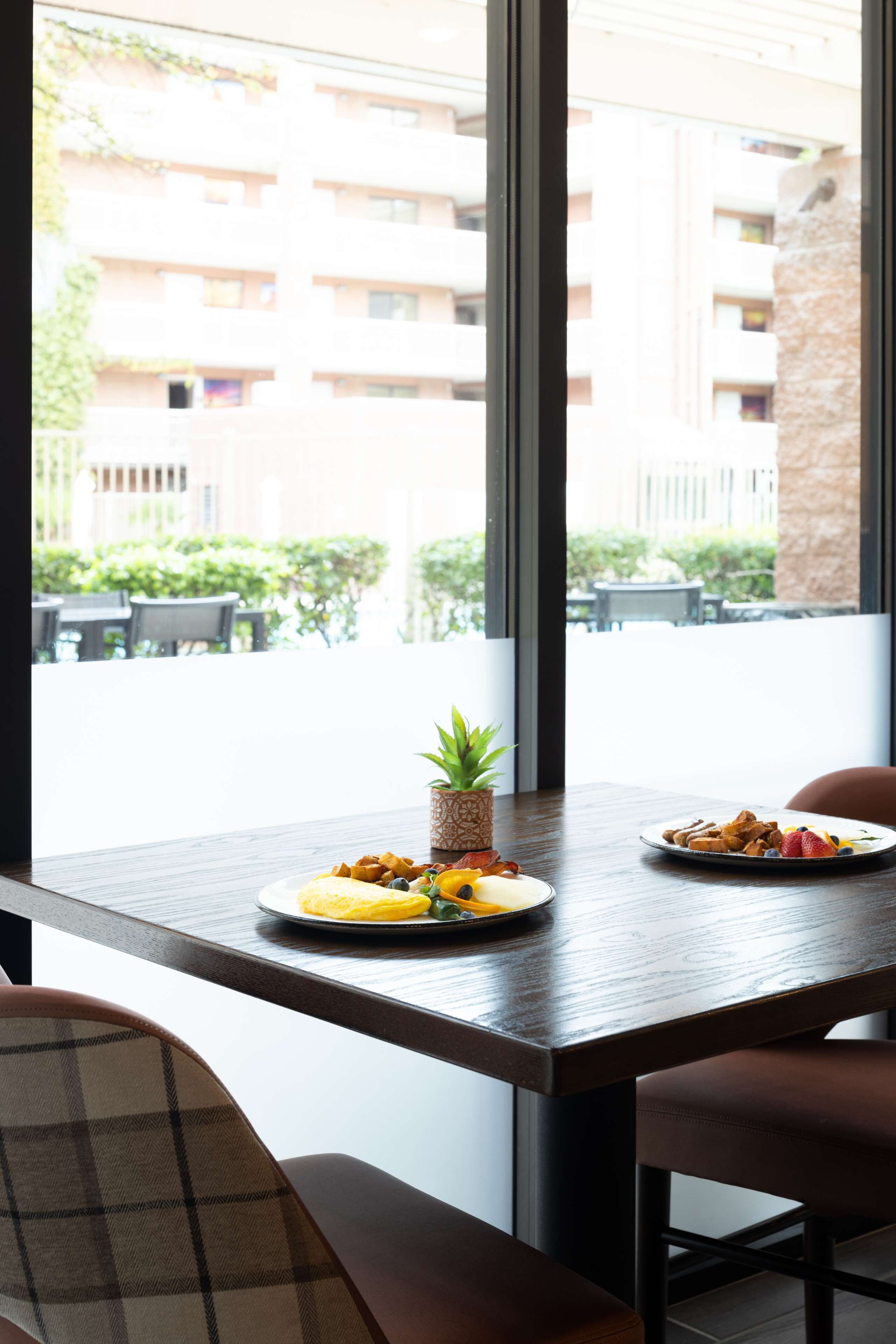 A dining table with plates of food and a small plant, set against a window with a view of buildings and greenery outside.