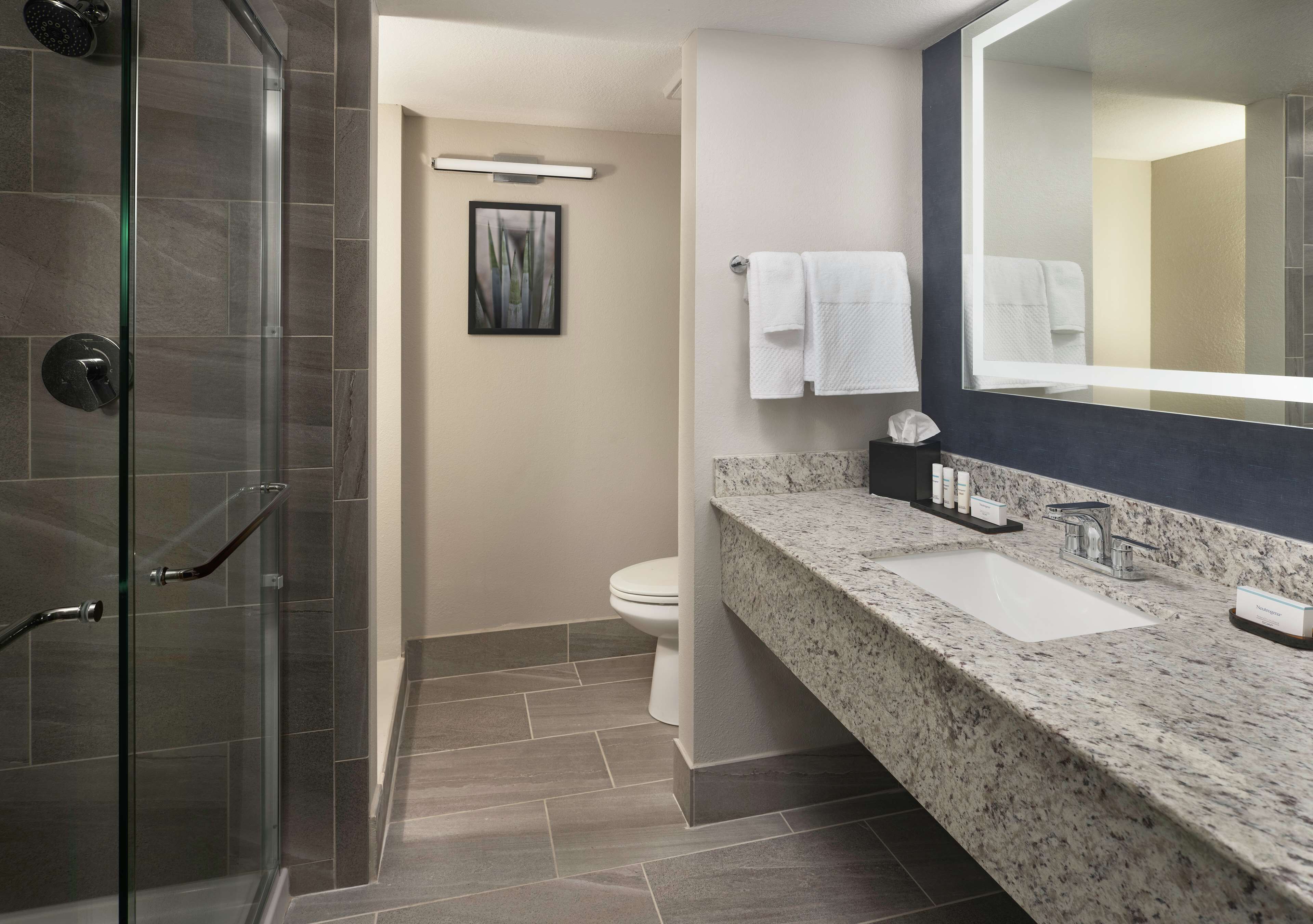 A modern bathroom with a glass-enclosed shower, a white sink, and a large mirror.