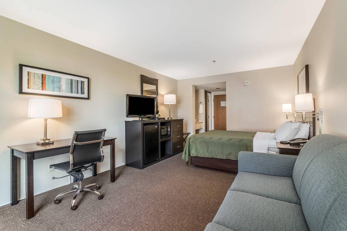 standard room, 1 queen bed with sofa bed, non smoking | premium bedding, down duvets, pillow-top beds, in-room safe