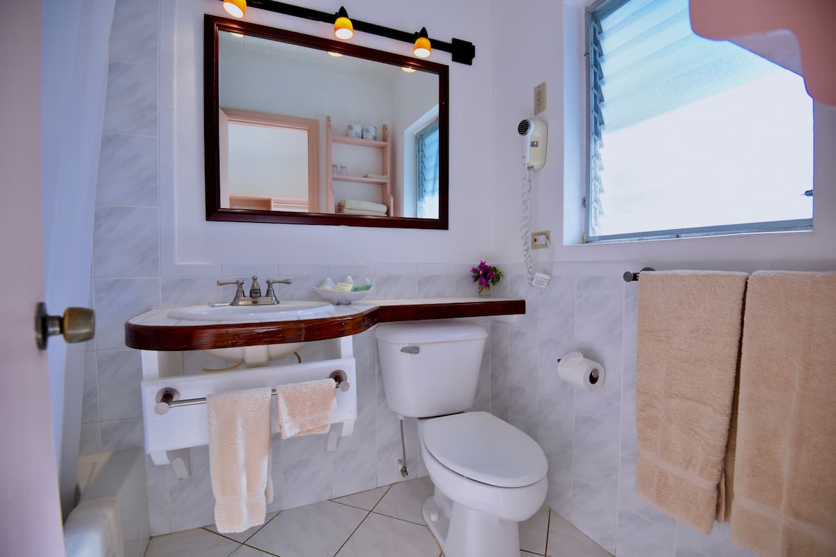 combined shower/bathtub, eco-friendly toiletries, hair dryer, towels
