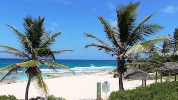 Een privéstrand, een gratis shuttleservice van/naar het strand