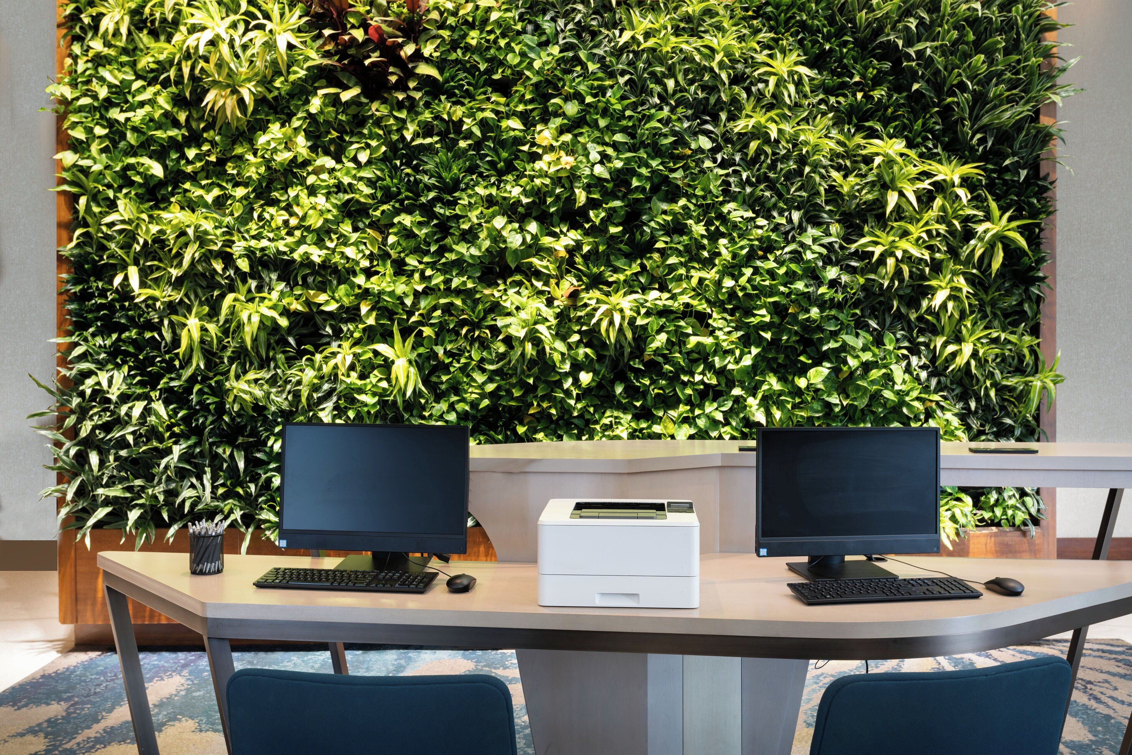 Foto - The Westin Tampa Bay