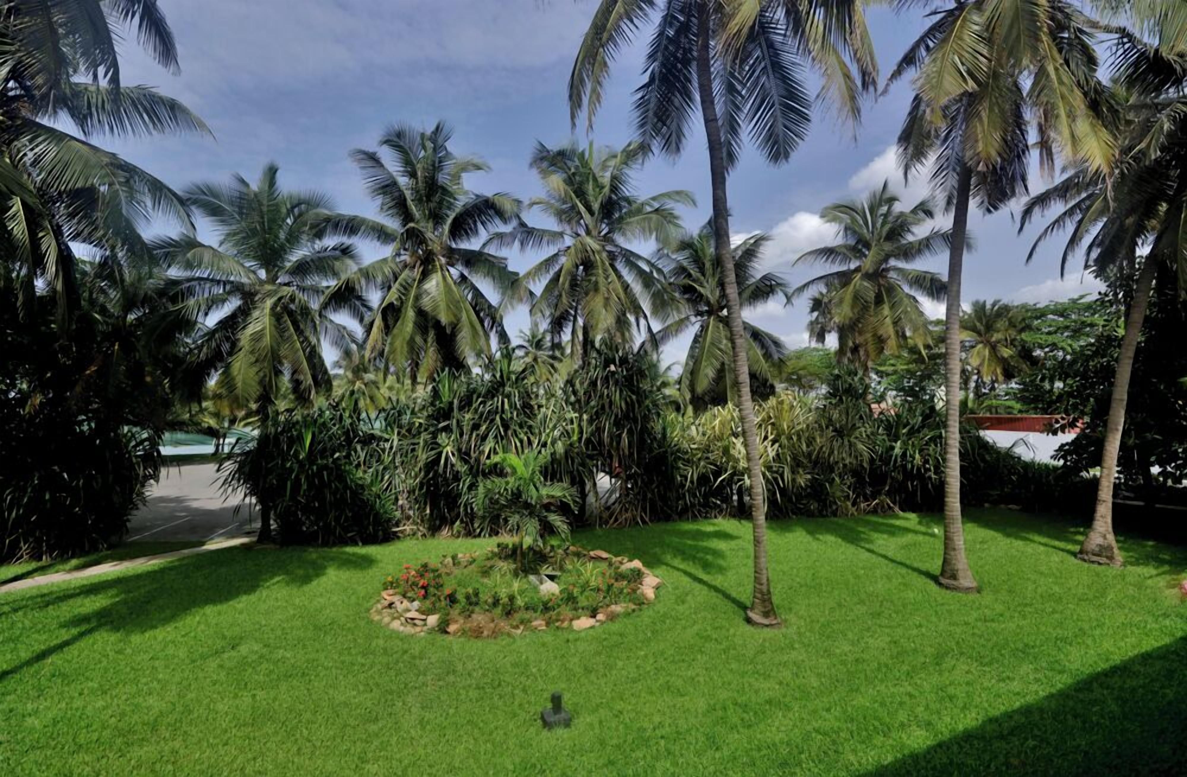 Un jardín tropical con palmeras y un parterre circular.
