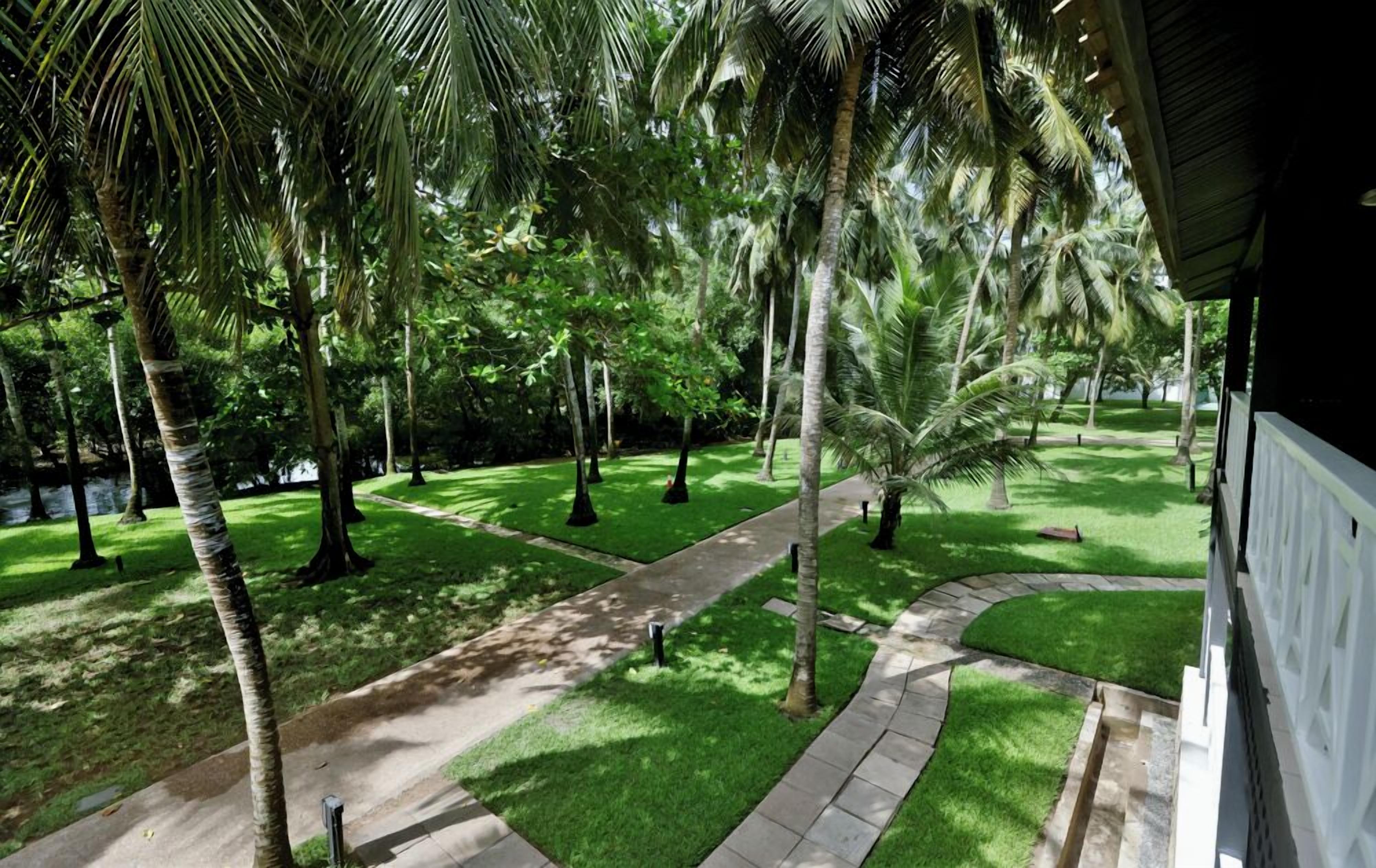 A lush garden with palm trees and a paved pathway.
