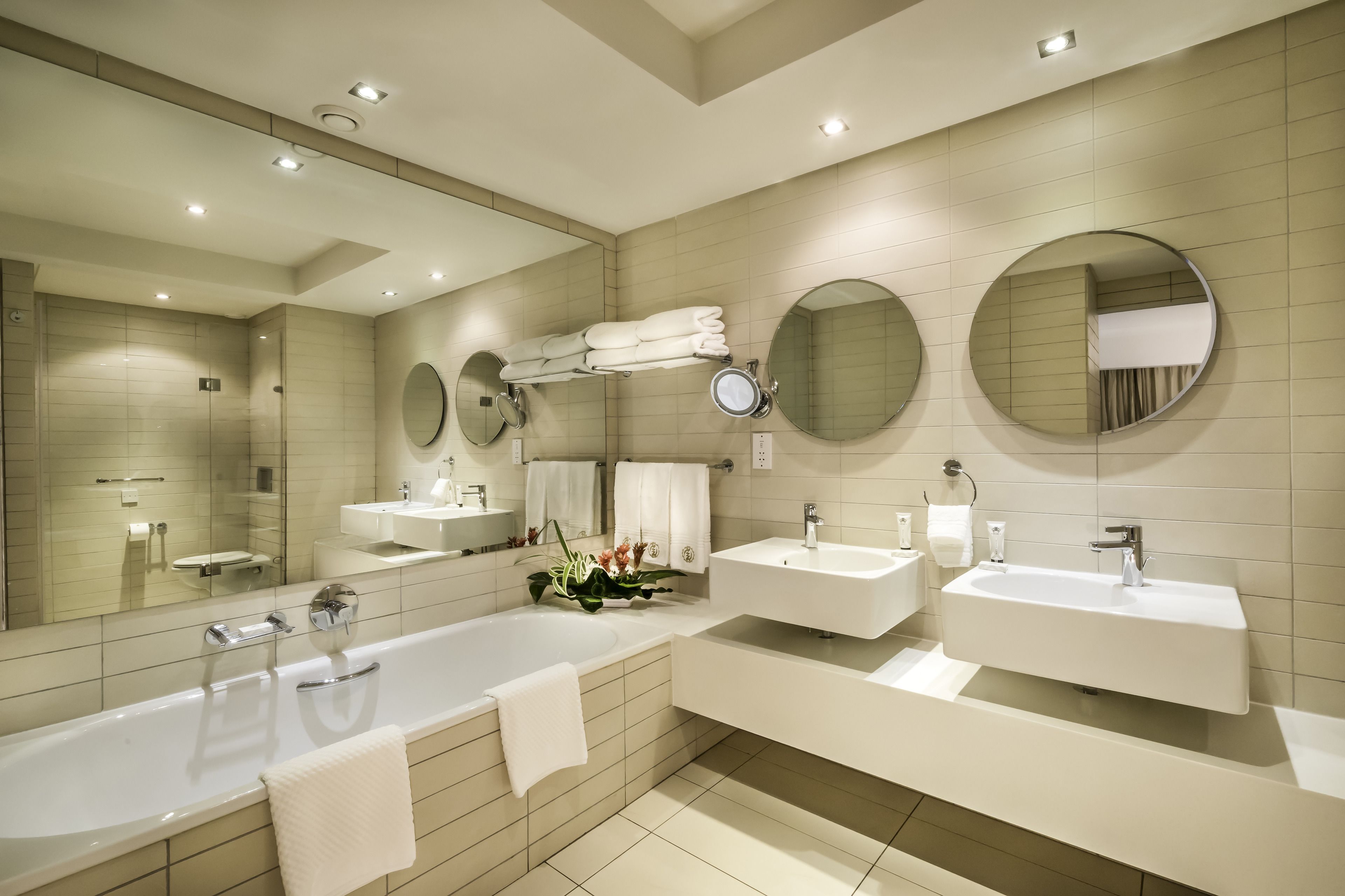 separate bathtub and shower, hydromassage showerhead