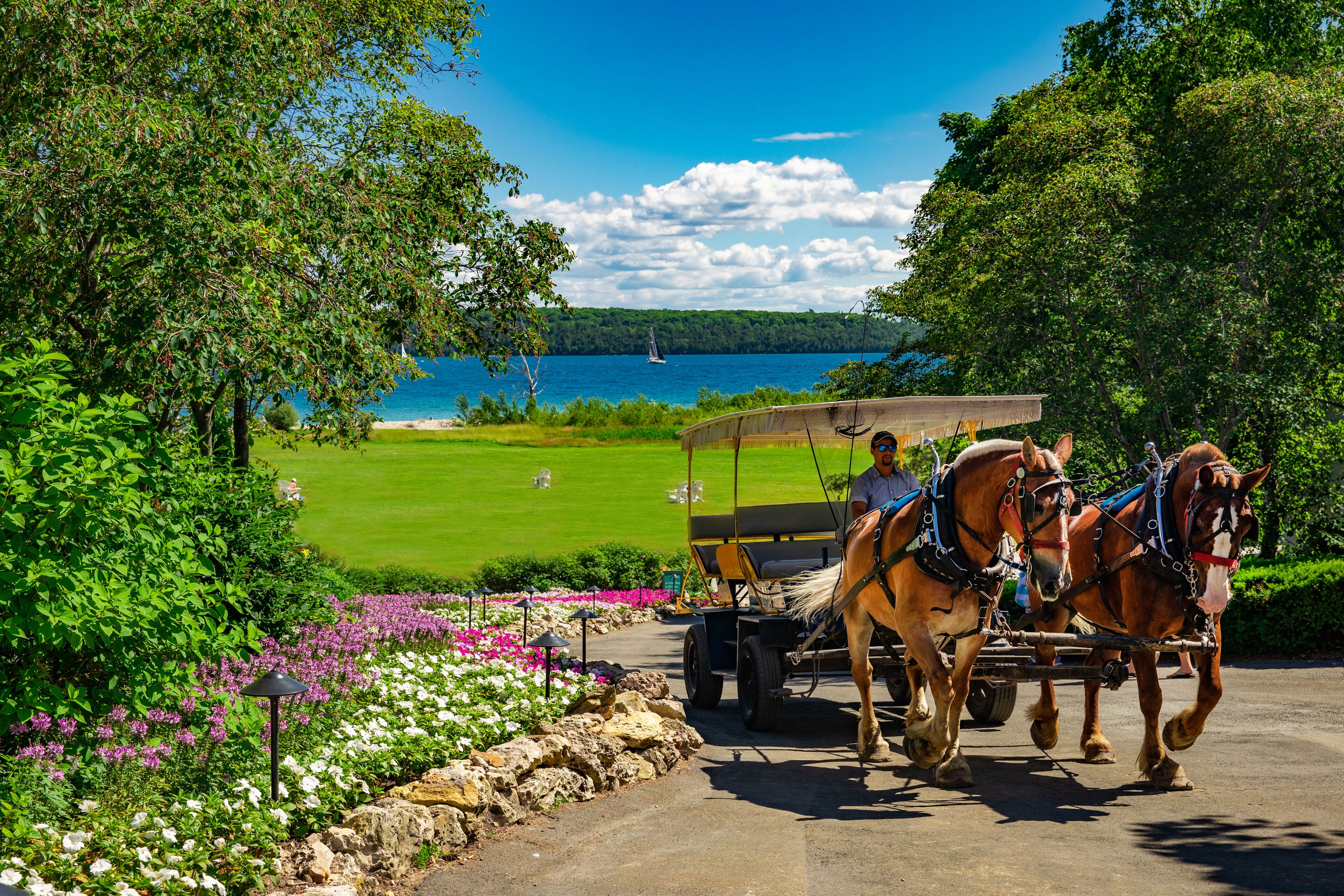 A carriage with two horses pulling a cart on a paved path, surrounded by lush greenery and a lake with a sailboat in the distance.