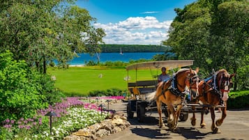 A carriage with two horses pulling a cart on a paved path, surrounded by lush greenery and a lake with a sailboat in the distance.