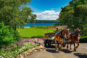 A carriage with two horses pulling a cart on a paved path, surrounded by lush greenery and a lake with a sailboat in the distance. - Mission Point Resort (Mackinac Island)