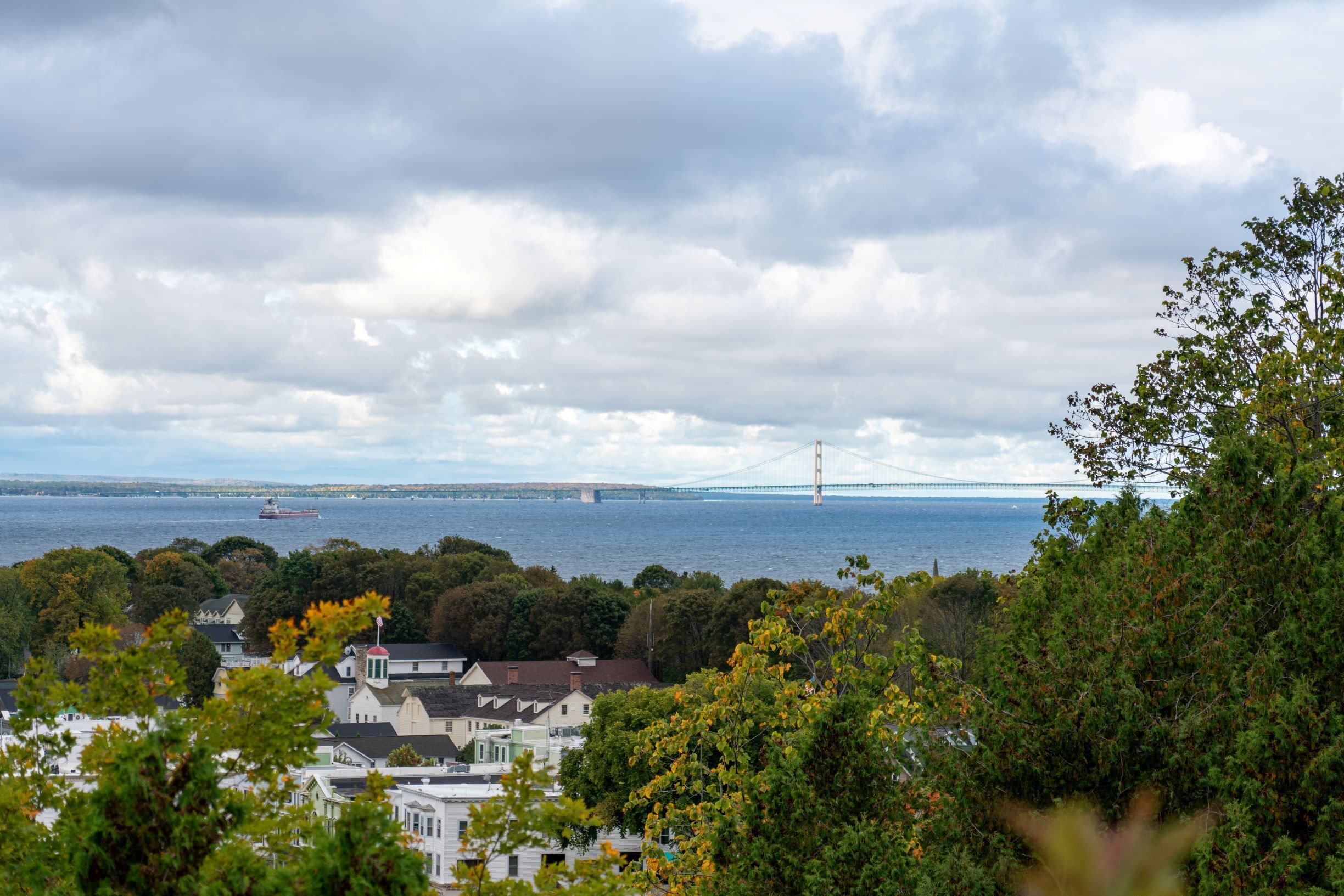 A coastal town with a prominent bridge in the background, surrounded by lush greenery and residential buildings.