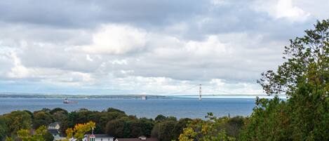 A coastal town with a prominent bridge in the background, surrounded by lush greenery and residential buildings.