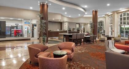 Desert Palms Hotel & Suites