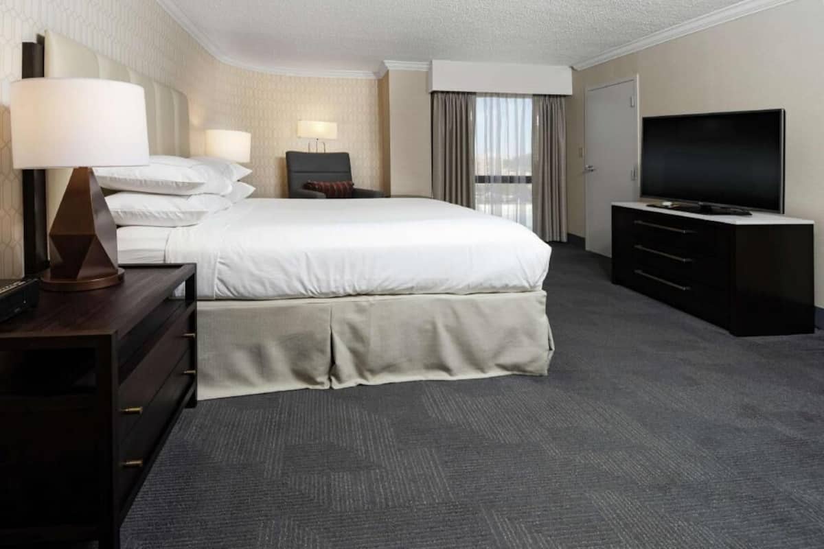 A hotel room with a large bed, a TV, a desk with a lamp, and a view of the outdoors.